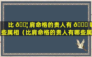 比 🐦 肩命格的贵人有 🐎 哪些属相（比肩命格的贵人有哪些属相男）